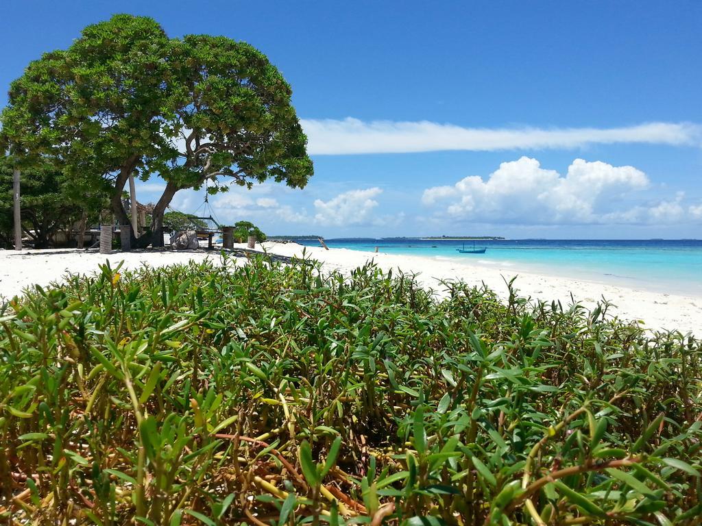 Lvis Blancura Hotel Dharavandhoo Exteriér fotografie