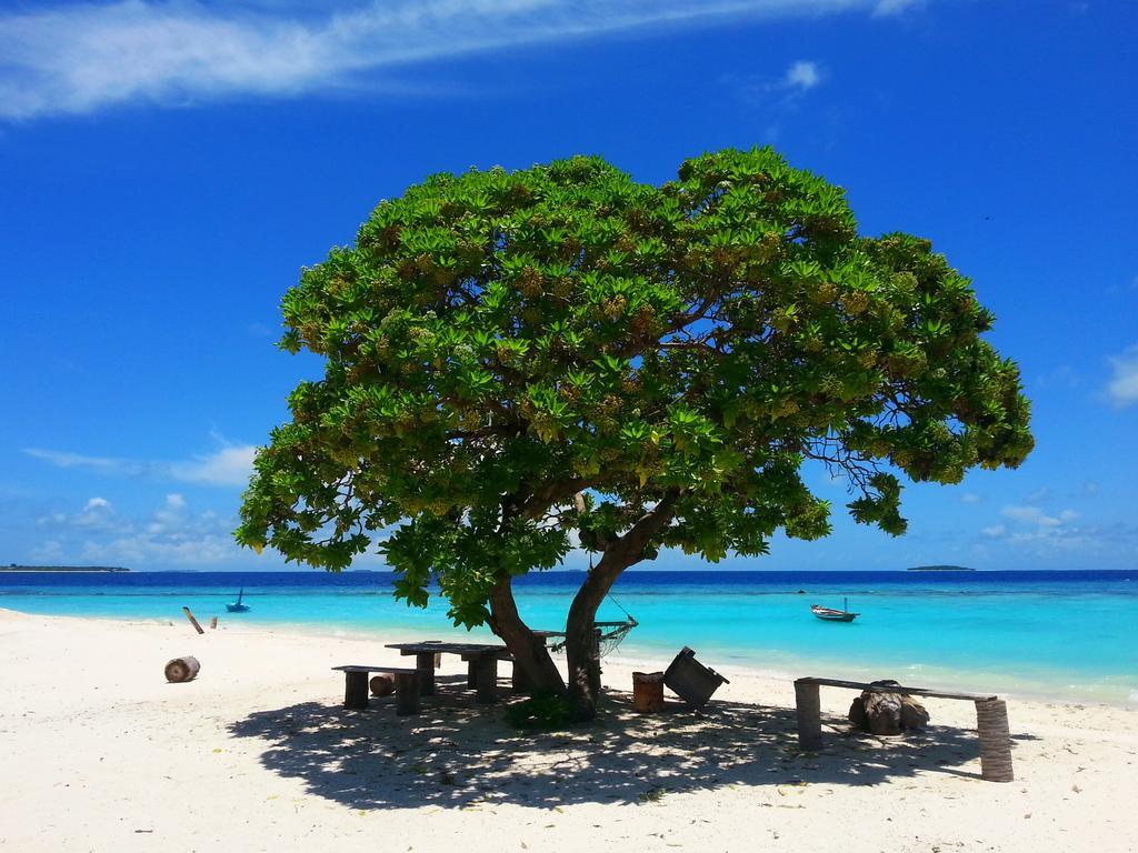 Lvis Blancura Hotel Dharavandhoo Exteriér fotografie