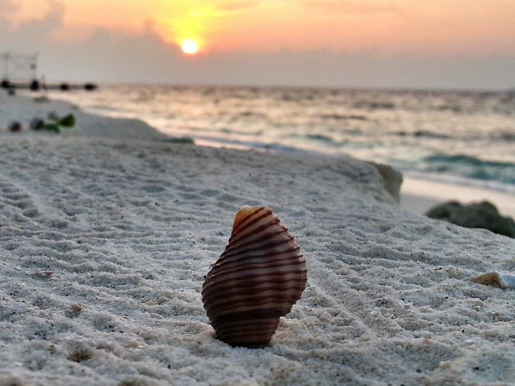 Lvis Blancura Hotel Dharavandhoo Exteriér fotografie